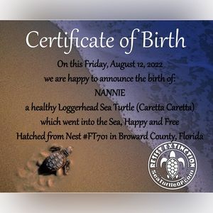 Happy 1st BIRTHDAY MY Namesake Loggerhead Turtle ‼️❣️🎈🎈🎈